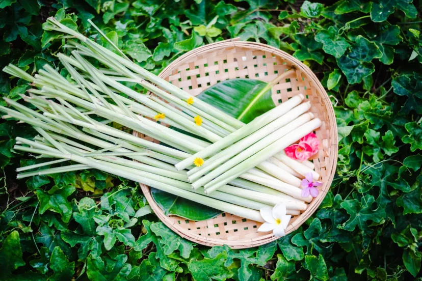 Lemongrass in a basket