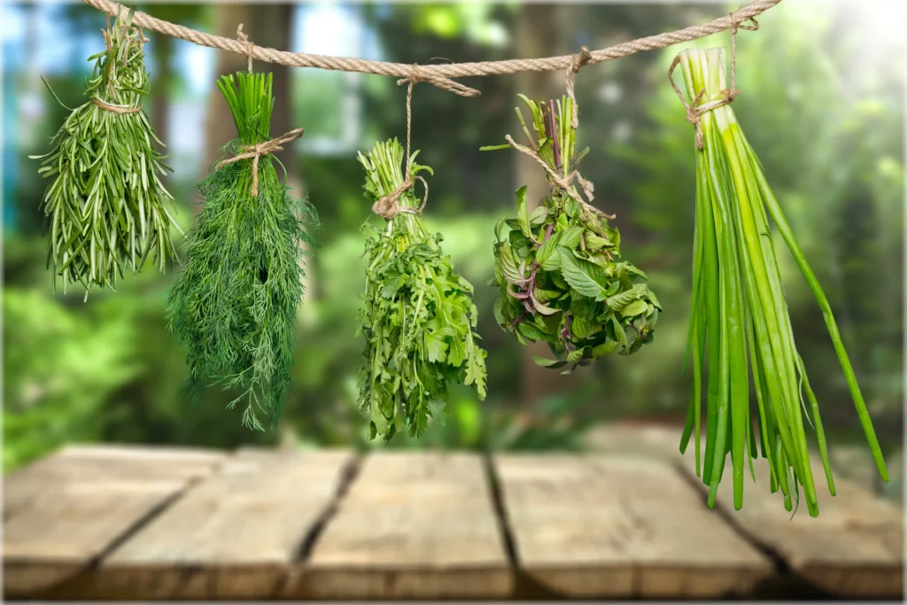 Some of the best culinary herbs bundled and hanging upside-down on a line for air drying.