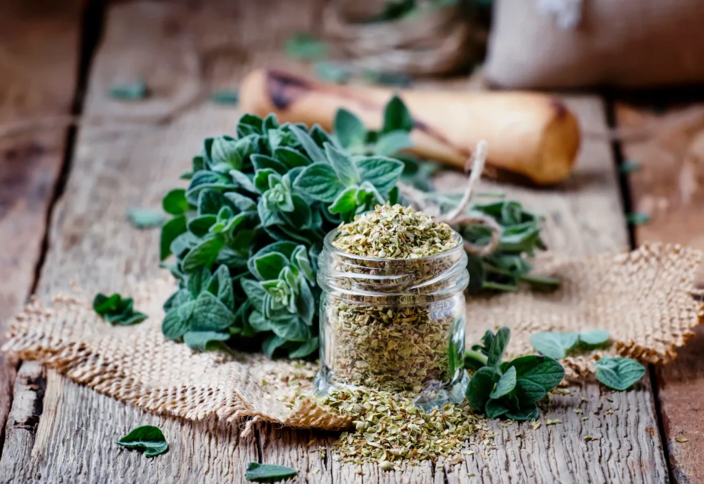 Fresh oregano with a jar of dried oregano.
