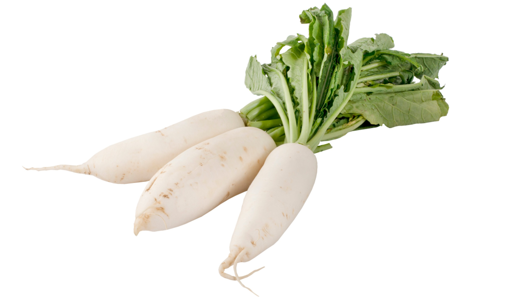 White daikon radishes with green leaves on a white background.