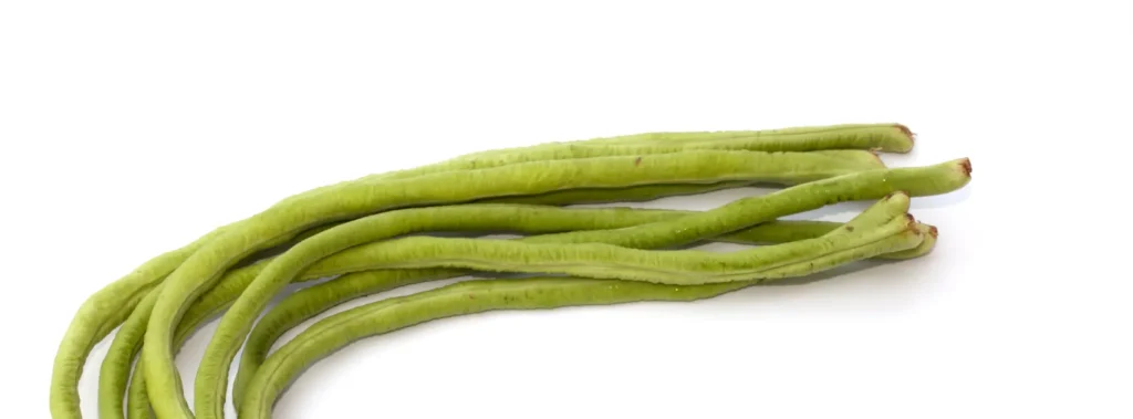 Fresh yardlong beans on a white background.