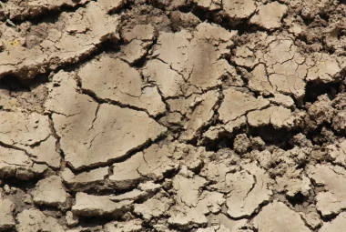 Dry, dead, cracked soil.