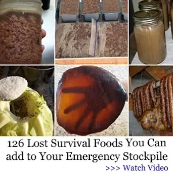 126 Survival Foods sidebar square.