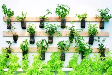 A vertical garden of potted plants mounted on a wall.
