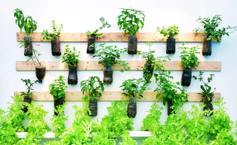 A vertical garden of potted plants mounted on a wall.