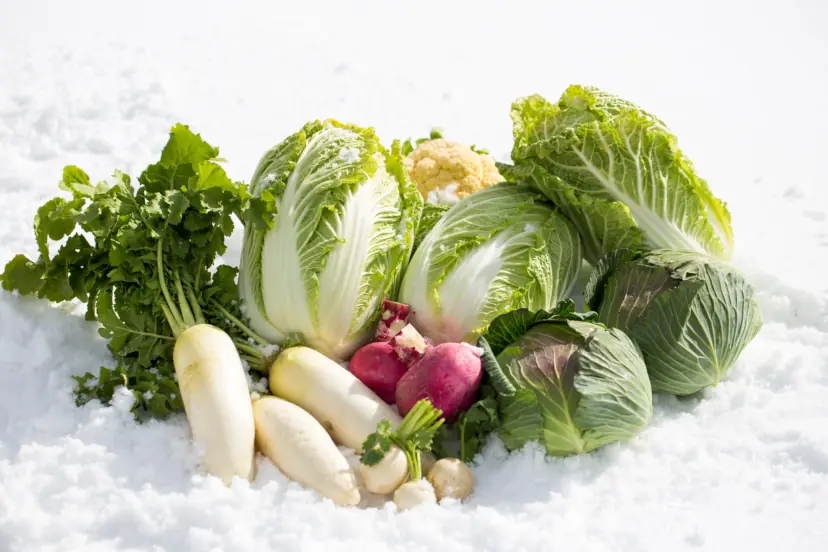 Assorted Asian vegetables, including daikon radishes and bok choi.