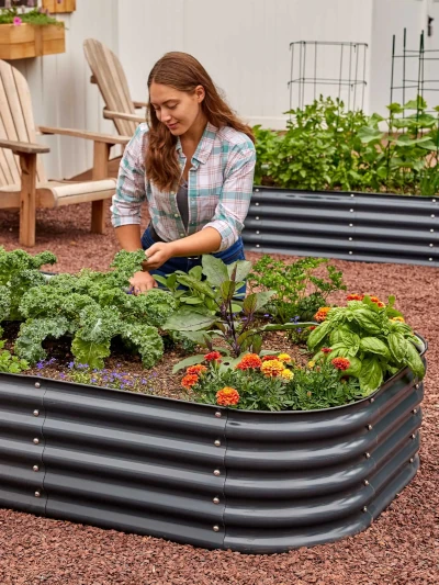 Burpee 12-in-1 galvanized steel raised bed garden.