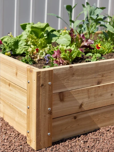 Burpee deep cedar raised bed 4 feet x 8 feet x 16.5 inches