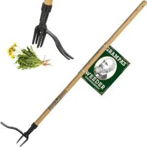 Grandpas standup weeder